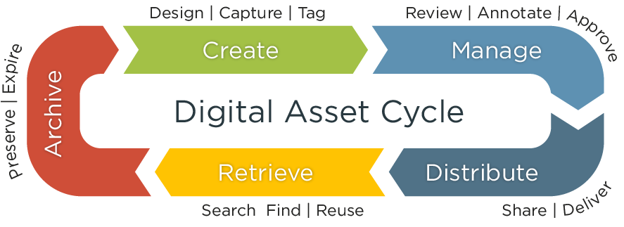 Digital Asset Management Services
