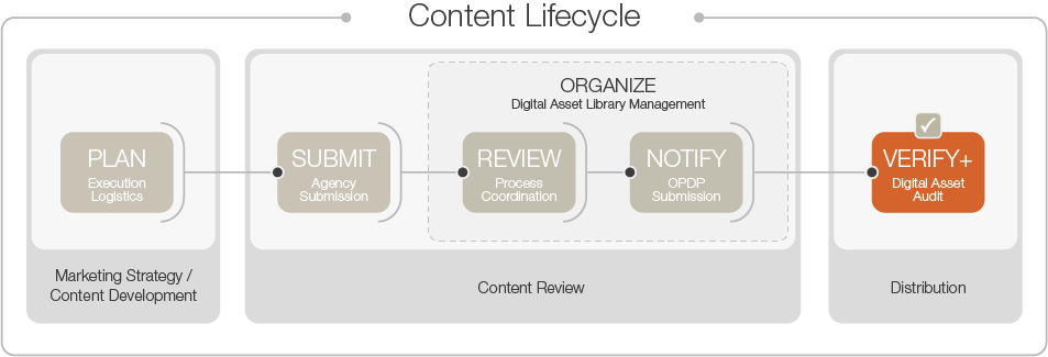 VERIFY+ flow chart